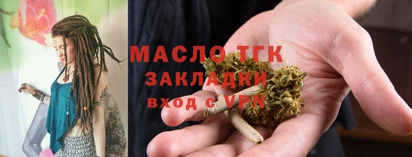 молекула духа Переславль-Залесский