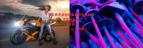 спайс Корсаков
