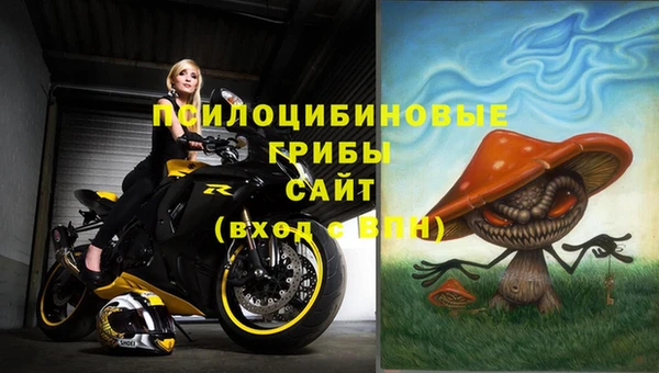 дживик Краснослободск