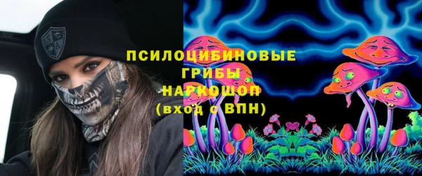 круглые Пересвет