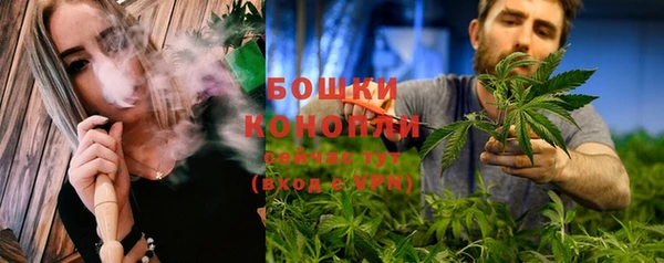 спайс Корсаков