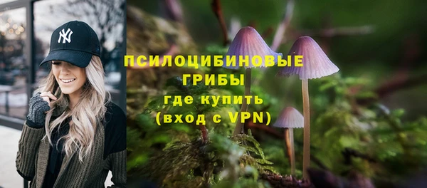 бошки Костерёво