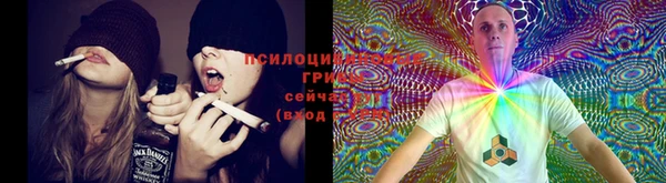 бошки Костерёво