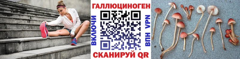 где можно купить   Курчатов  Галлюциногенные грибы ЛСД 